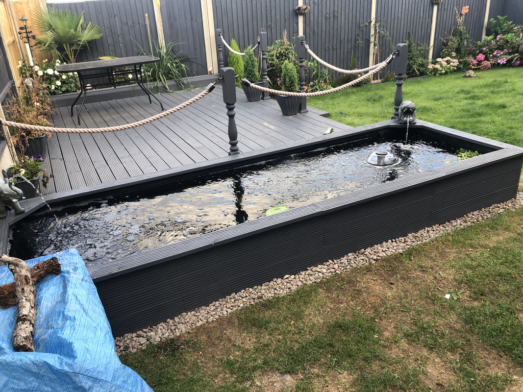 B018C62E-5DF8-434C-B85A-E5C8D8819A87