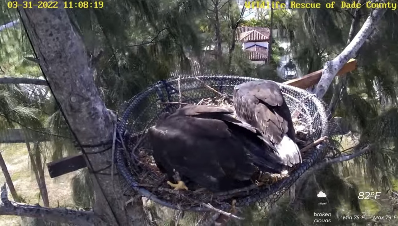 197A2BC0-4445-47B6-854A-96DB43941696