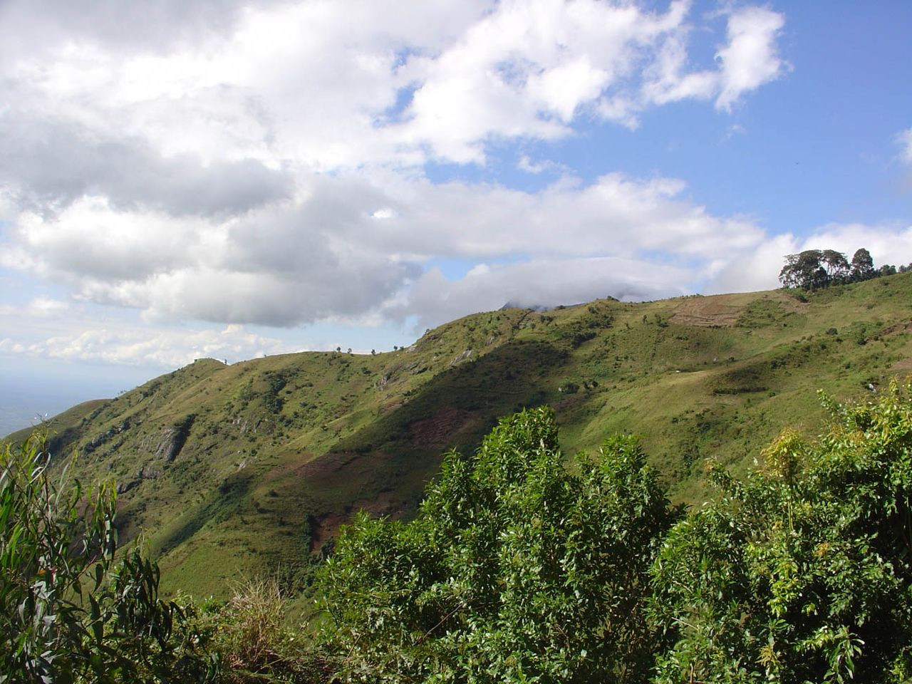 Southern Safari Dash