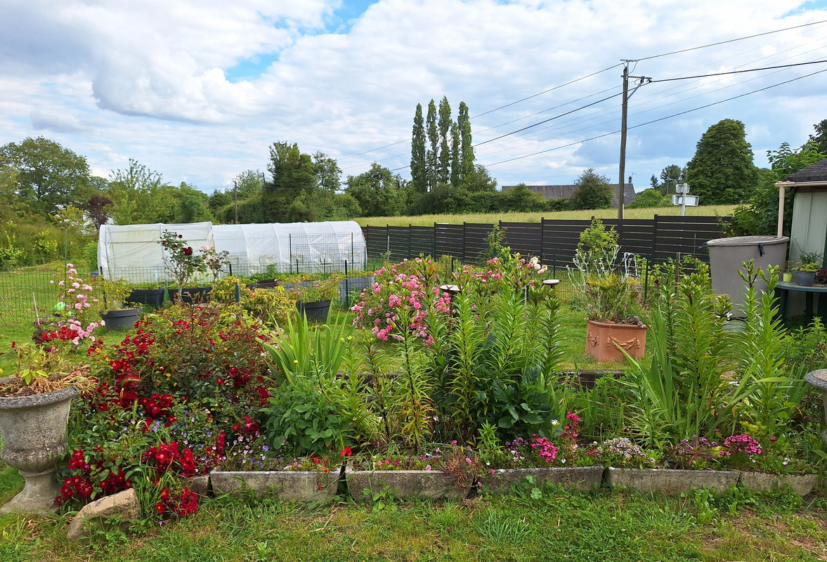 [Image: 20240612-180310.jpg]