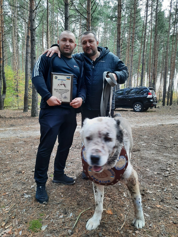 7B6ED8D8-A35E-4416-B8B2-081FDC2CE107