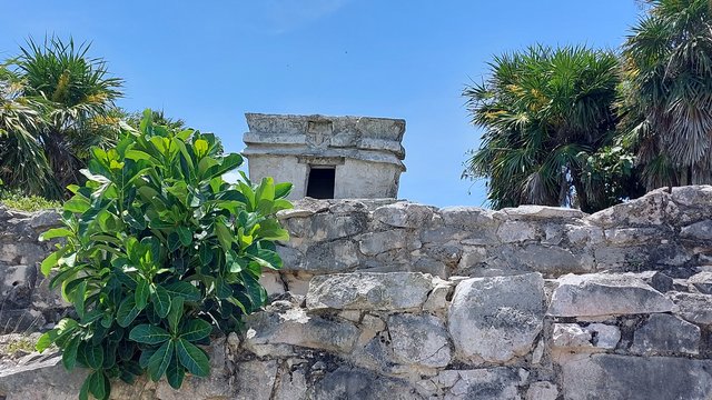 DIA 5 – CENOTE AZUL, TULUM, HOTEL GRAND SIRENIS RIVIERA MAYA - Hotel Grand Sirenis Riviera Maya + Xplor + Cenote Azul + Tulum + Playa del Carme (28)