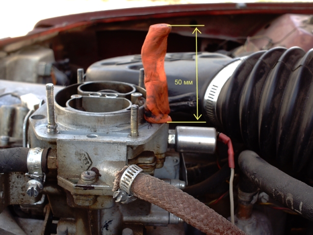 черепахен 004