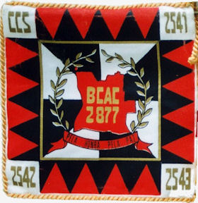 BCac2877
