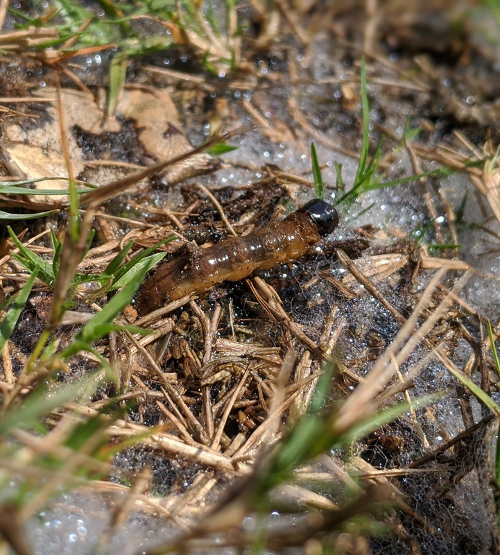 IMG_20200808_121430~2