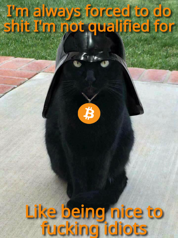 darth cat being nice