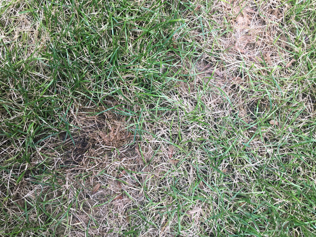 D08B49EE-66B8-4CD5-9454-B50EE81095C4