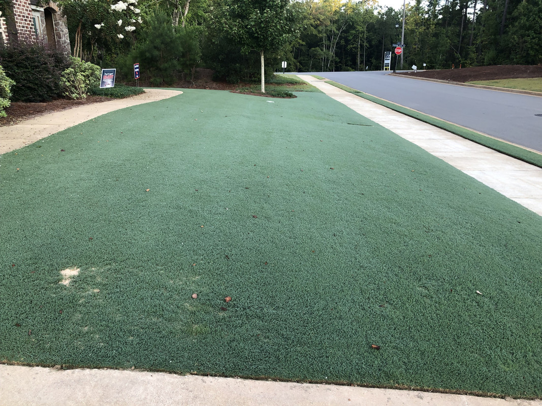 3E6E058B-0035-4D9A-B195-CC4BF446F751