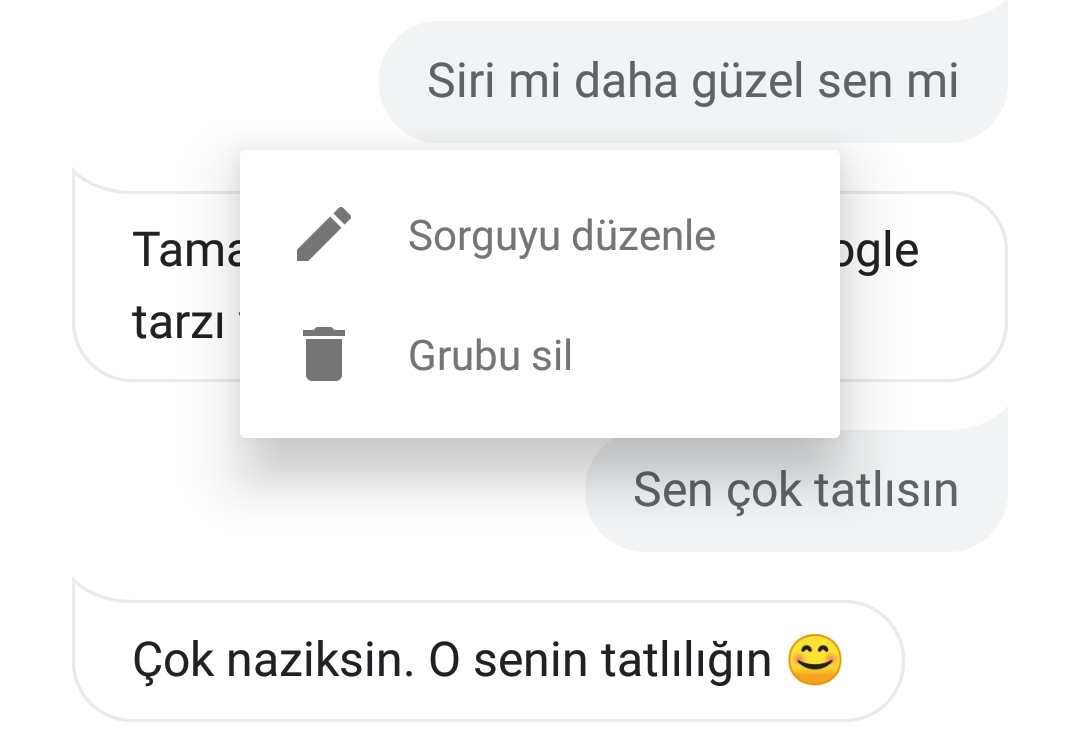 google asistan geçmiş silme