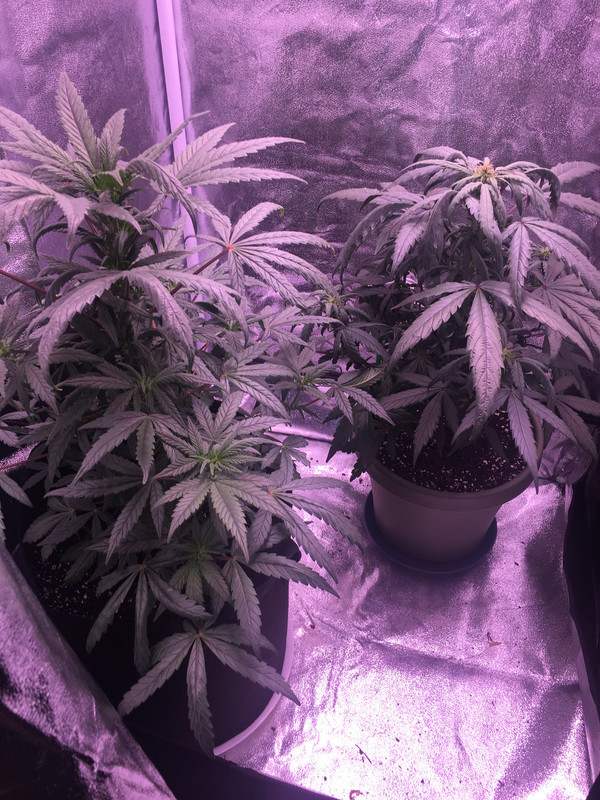 467D1984-5745-4EF7-9832-0E3587A77222