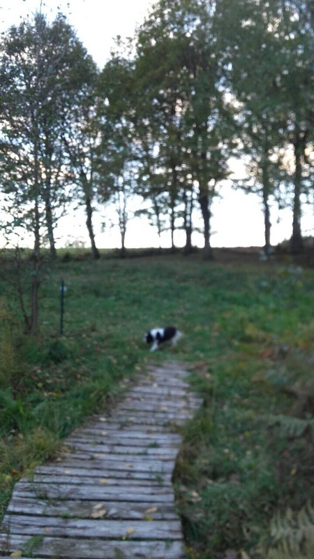 559BFF5B-E8A8-4246-B133-03528933D8A7