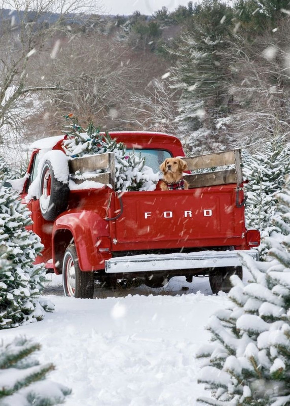 2D6F151F-16BE-49E9-8033-A8BE6085CE13