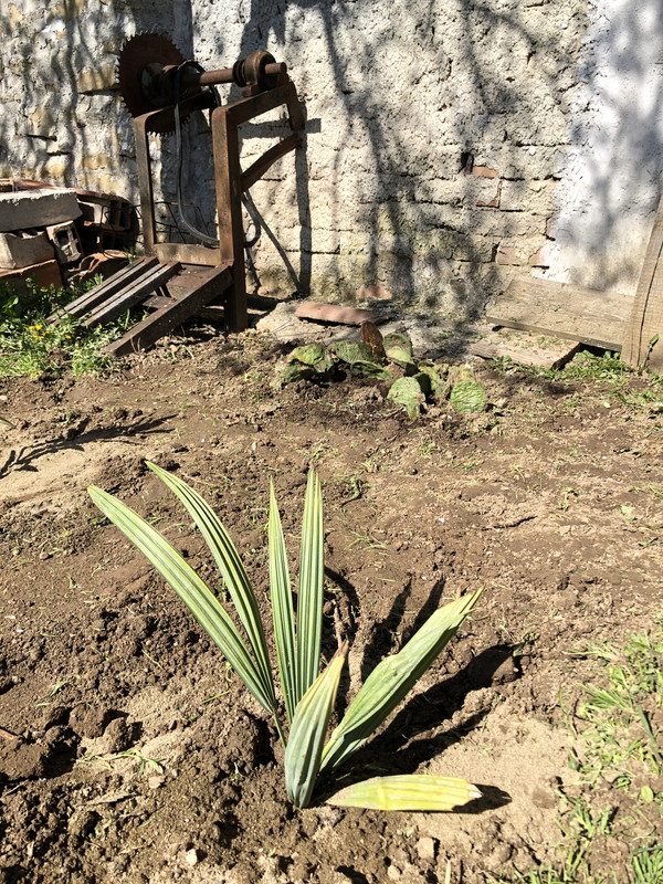 B5E3D22A-C179-4CAE-85C0-7EC8EBC877F3