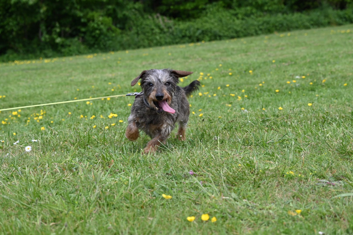 [Image: IMG-20250501-WA0050.jpg]