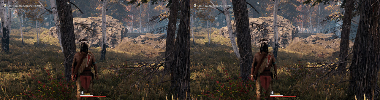 This Land Is My Land005