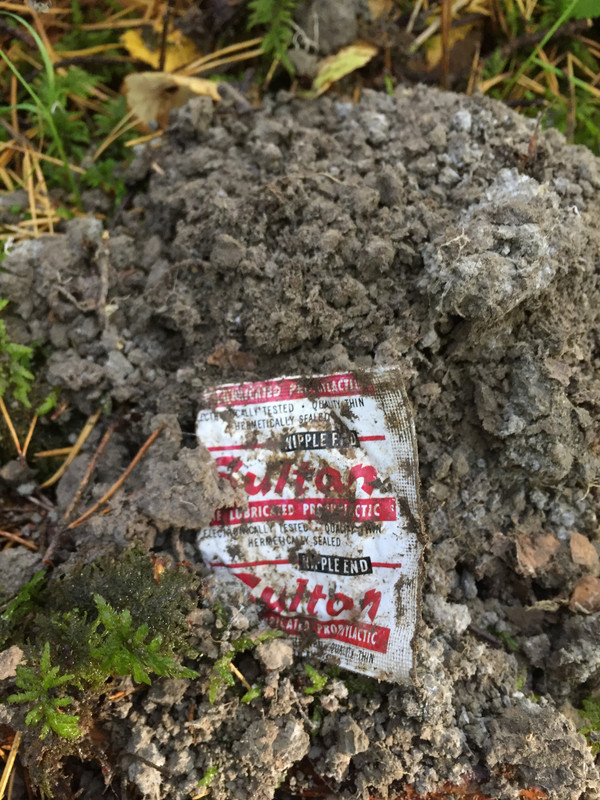 37DF47D6-6CD3-476F-ADC2-29274F66084E