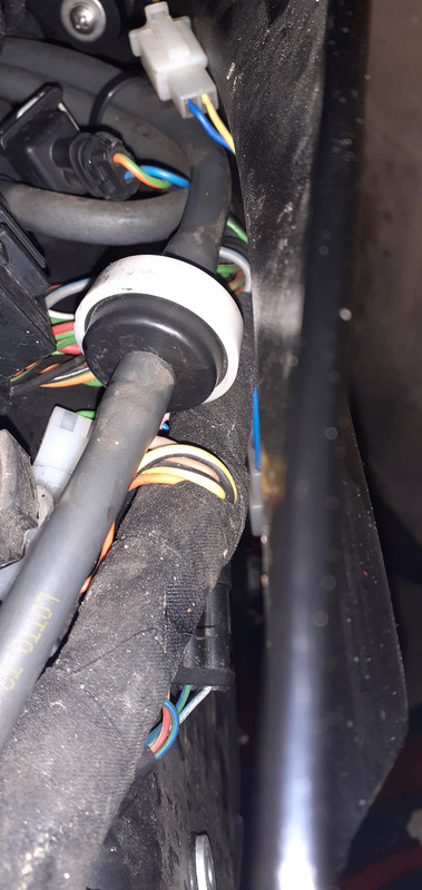 1AA209ED-F3C8-43BF-903B-431F9C14C972