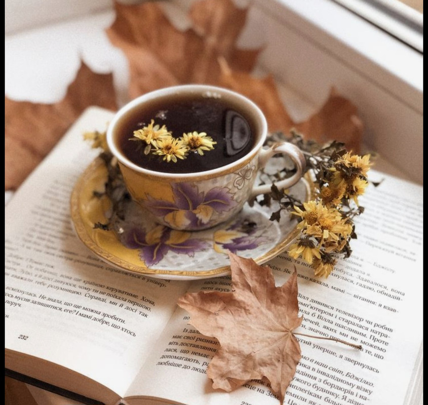 Screenshot_20251004_215201_Pinterest