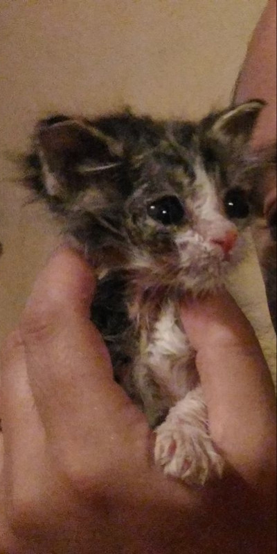 Polish_20230706_091927578