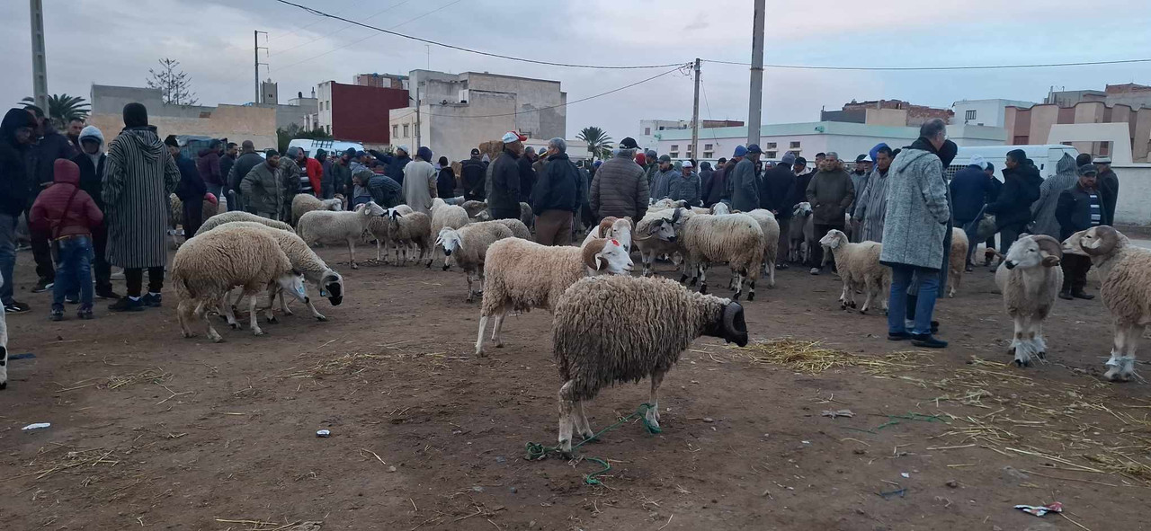 633233571-1677142573255206-6819406570715919896-n