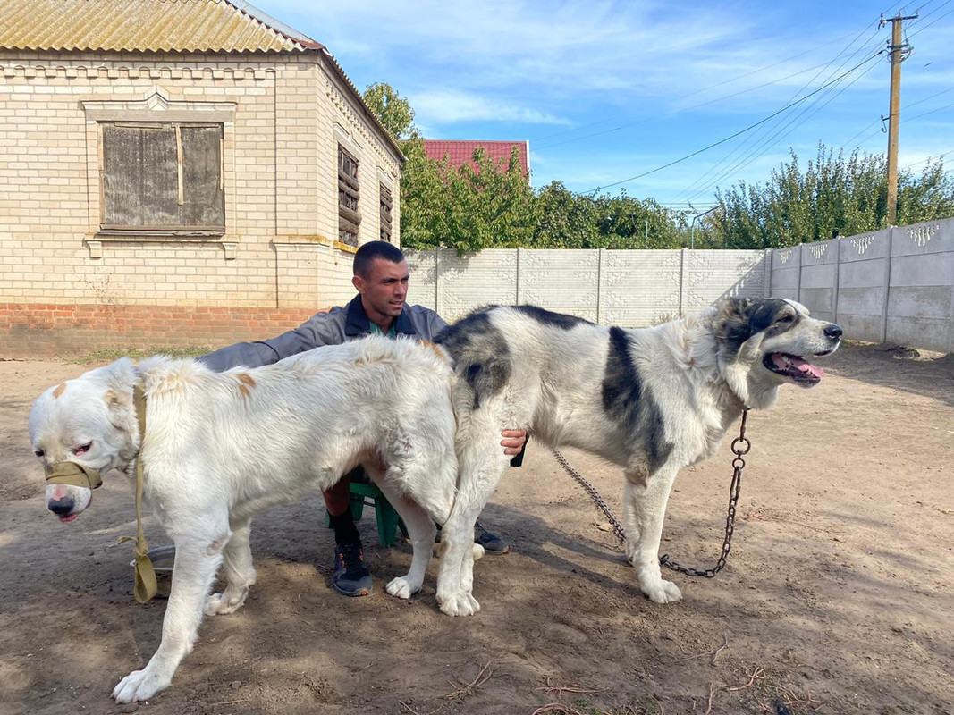 E0C100B5-8AEF-4C65-A576-72F426A65F07