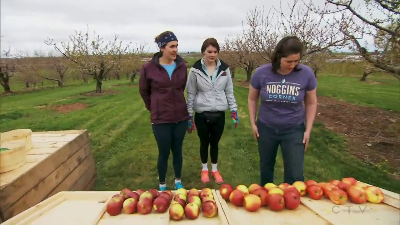 vlcsnap-2021-01-10-18h17m53s484