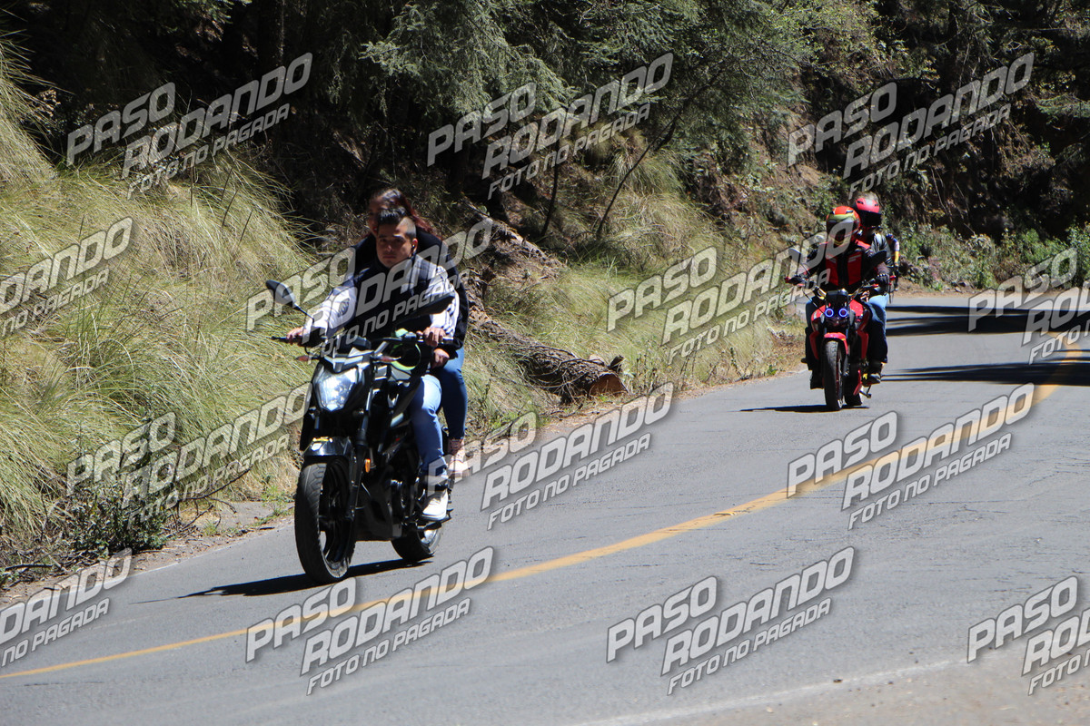 IMG 2619 wm 2231106 9 watermarked — Postimages