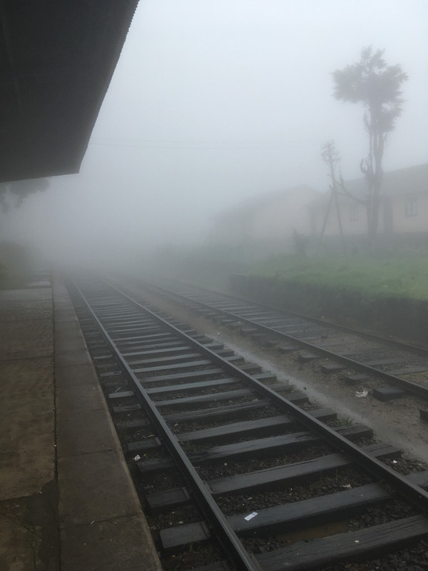 27 de diciembre - Horton Plains y Haputale - Navidad en Sri Lanka - Diciembre 2017 (3)