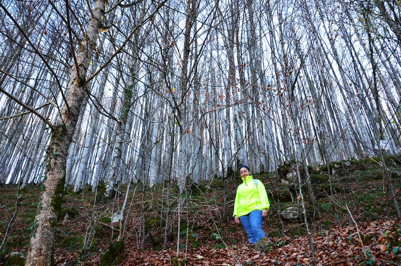 SELVA DE IRATI-14-11-2015-NAVARRA - Paseando por España-1991/2024 (17)