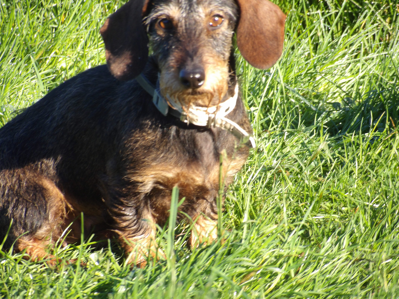 [Image: 125-0687.jpg]