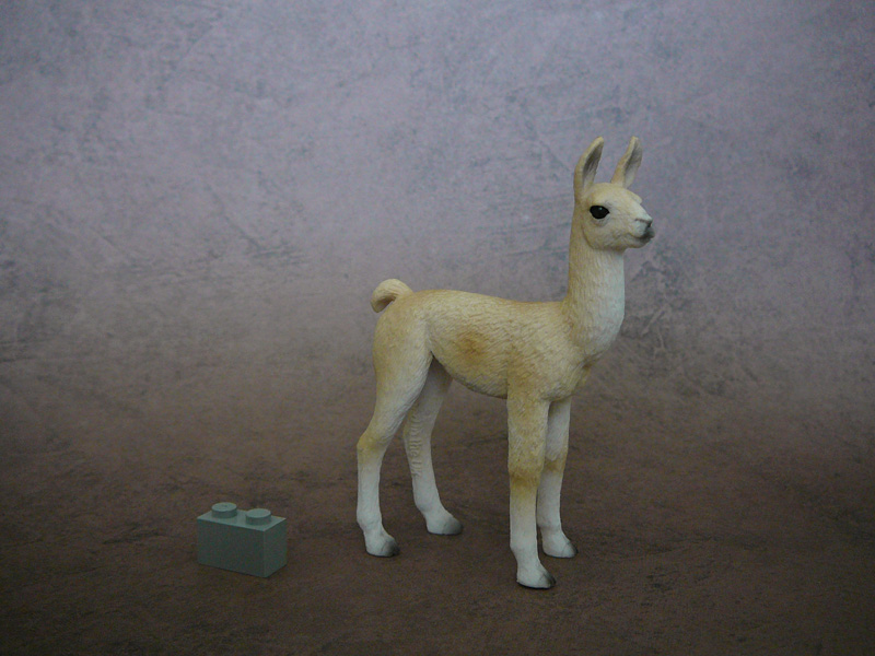 Mojö 2019 Llama and Cria- a walkaround by A.R.Garcia P1090598ed
