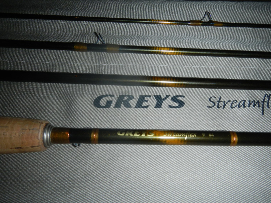 DSCN5395 (1520 x 1140)