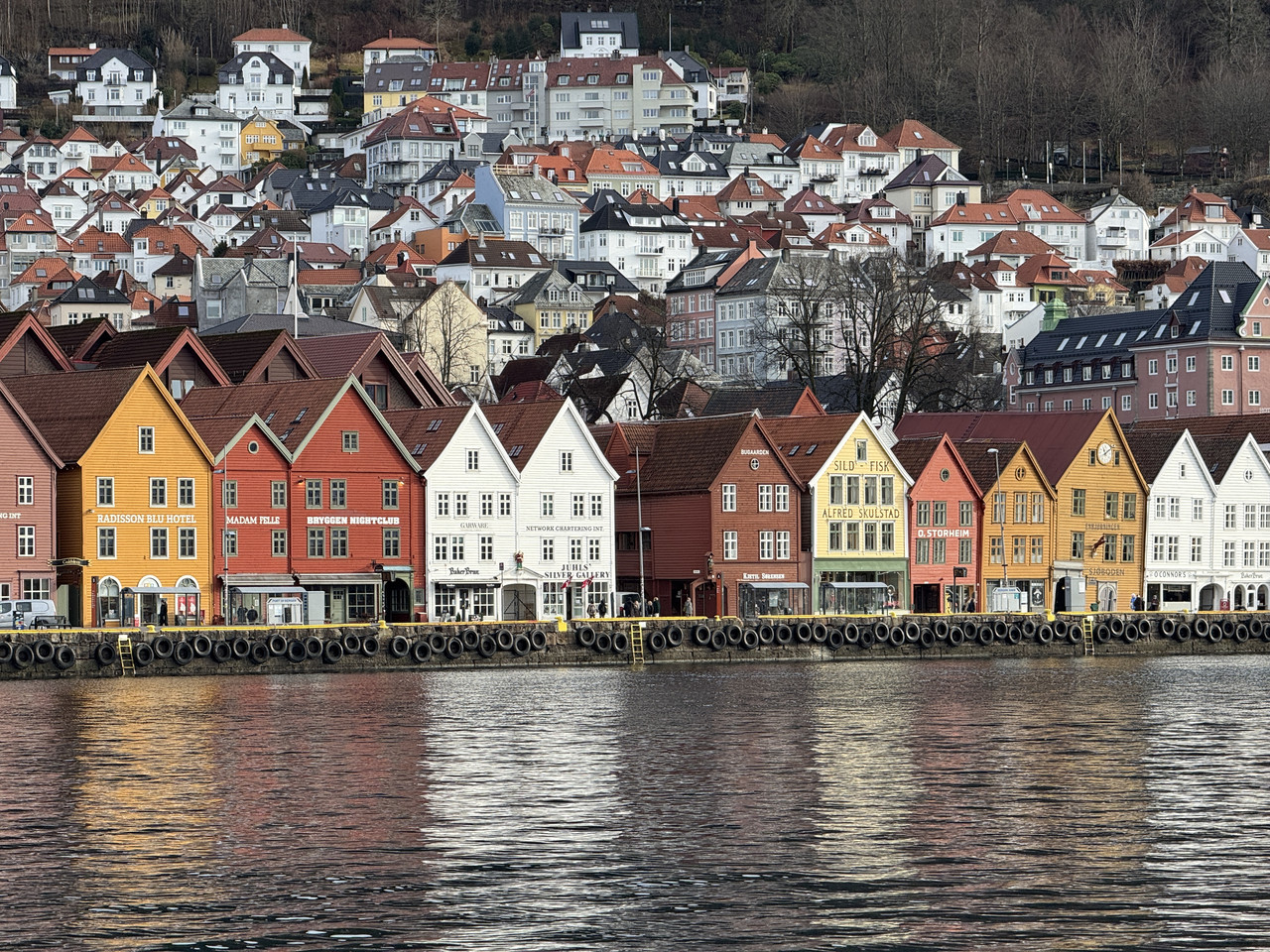 [Immagine: IMG-9722.jpg]