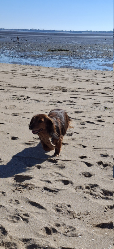 [Image: 20251011-152840.jpg]