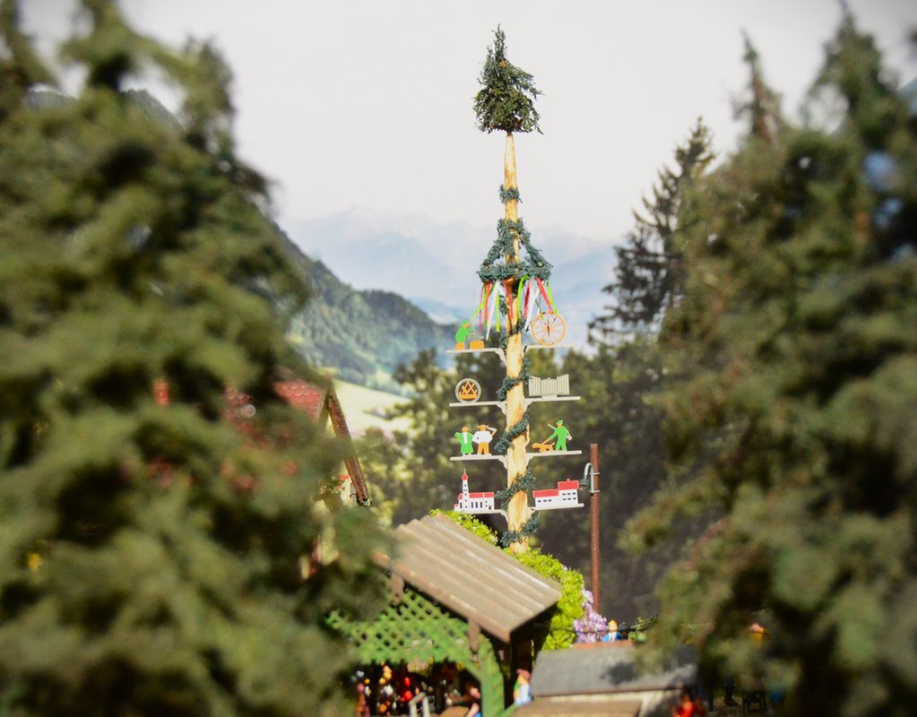 Maibaum hinten 8