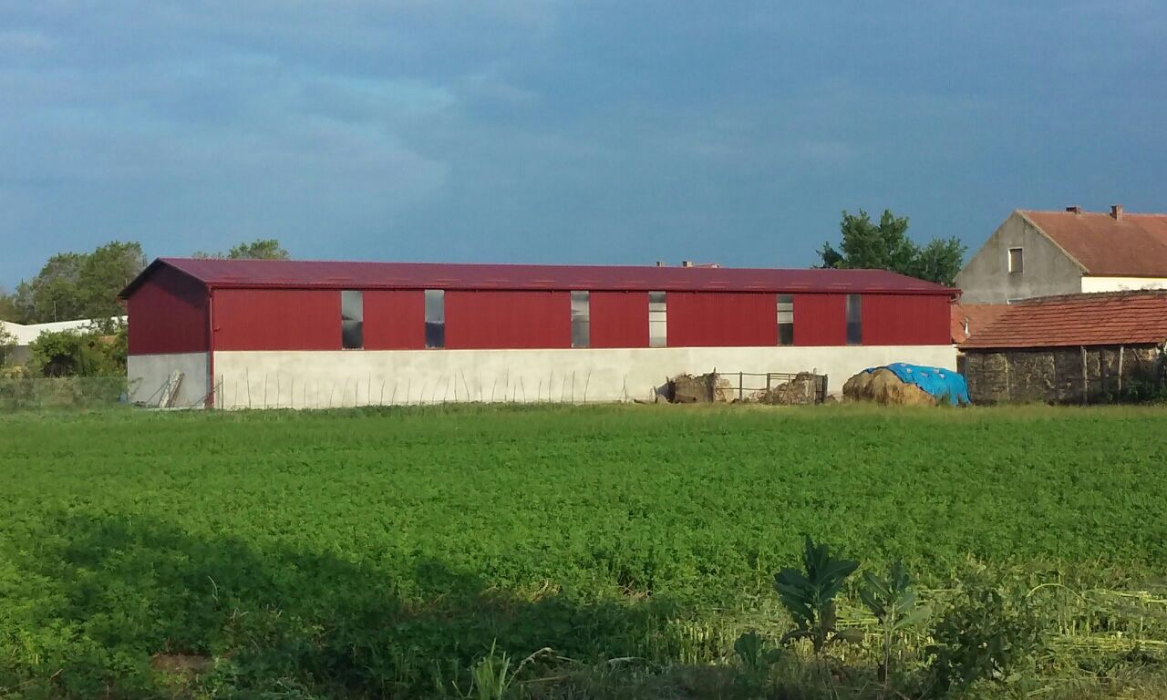 D4614126-958A-4BB8-AAC2-97E82B68A459