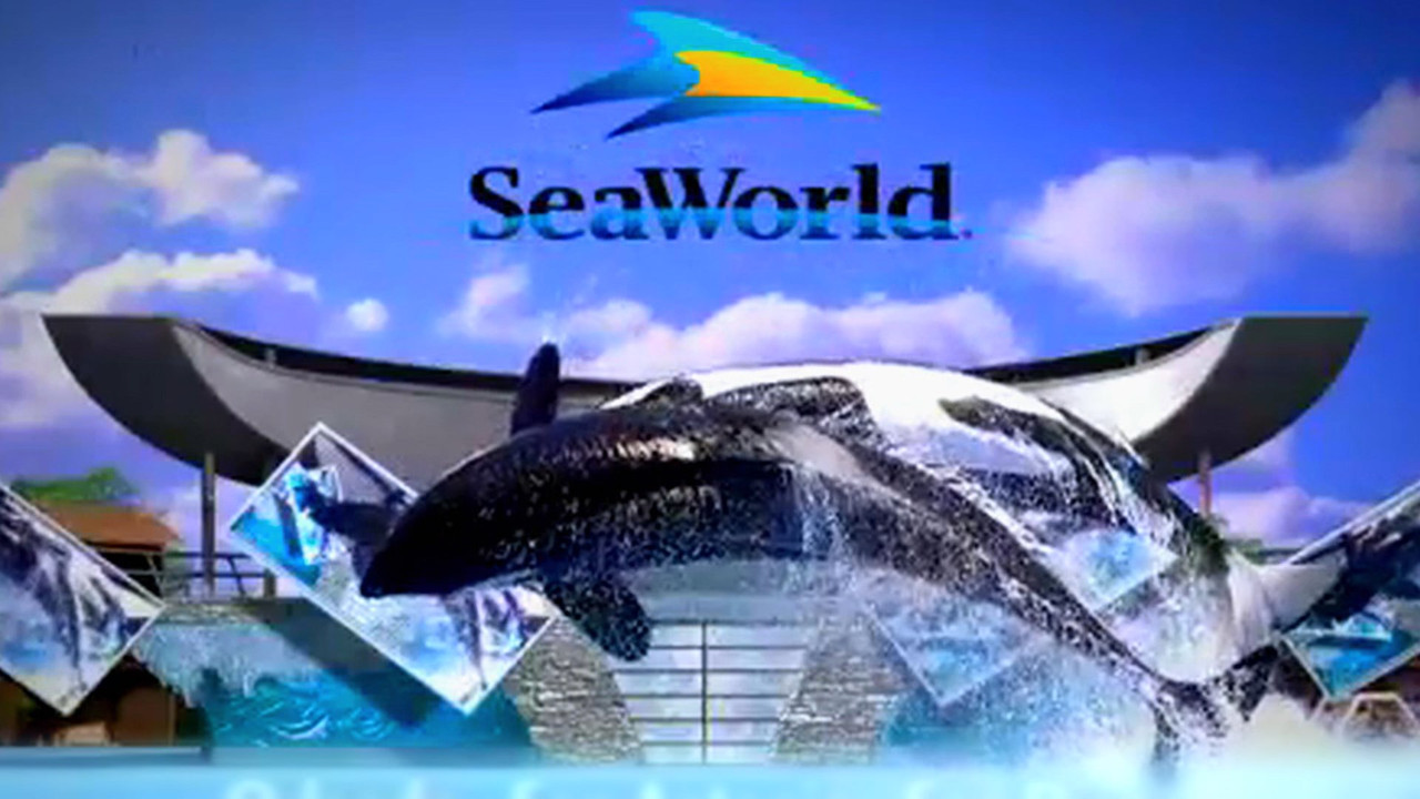 Blackfish (2013) (1080p BluRay x265 Silence).mkv_snapshot_00.01.