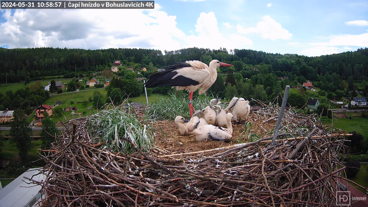Tiešraidē no uzņēmuma KARA stārķa skursteņa Bohuslavicē pie Trutnovas 12-16-2 screenshot