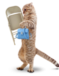 IMG-8541.png