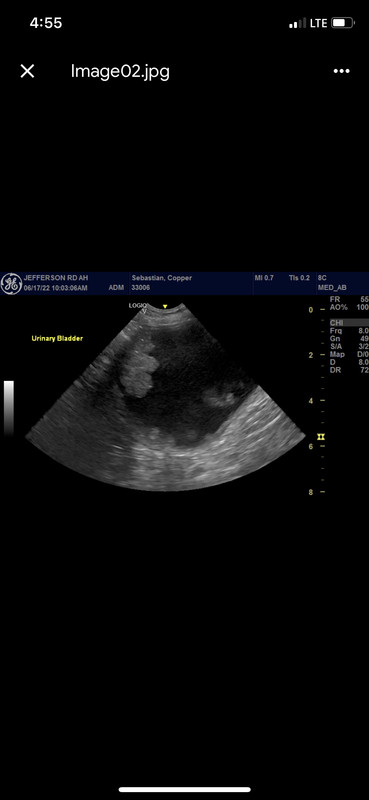 9114D390-2D2B-4098-88D4-E968F90111E3