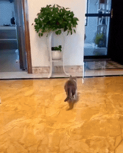 daily-gifdump-3428-20.gif
