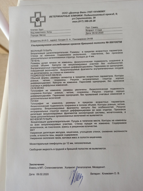 Брут узи обп