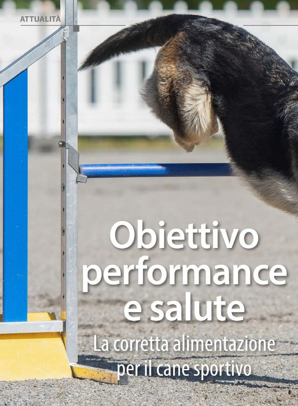 Il M C Mar-Apr 2024 (1)