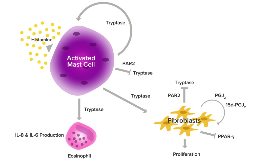 Does Australia Wine Have A Lot Of Mast Cell Activation?