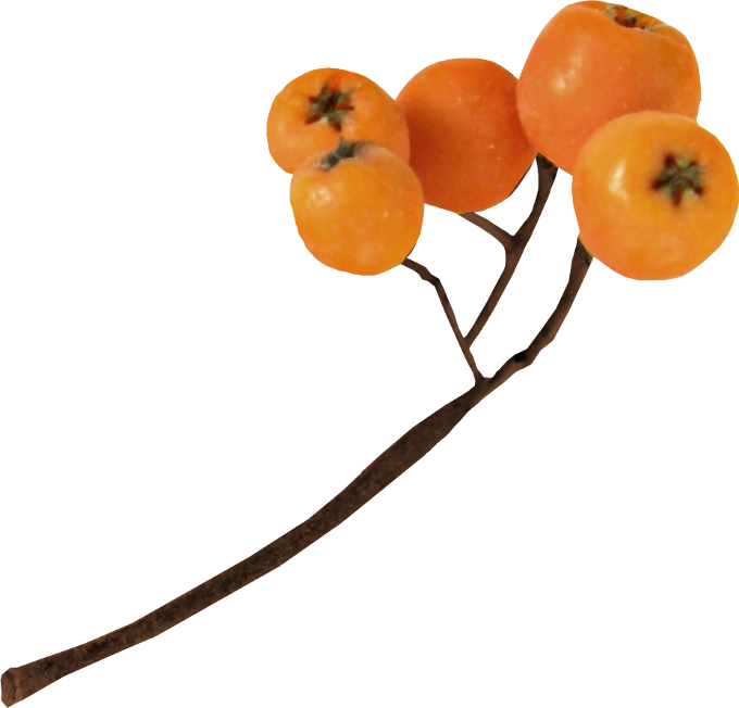 Autumn Witchery (120)