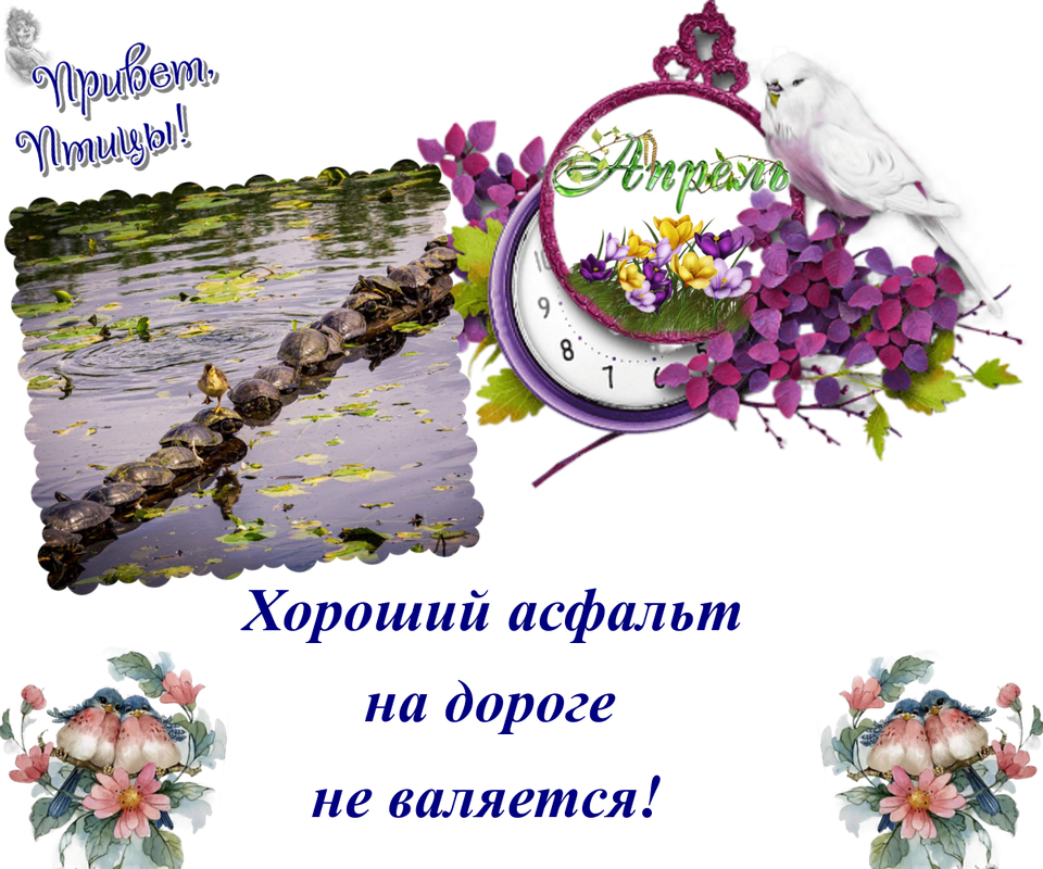 https://i.postimg.cc/5NHwD0LC/20-04.png