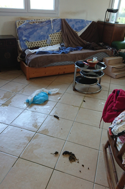 [Image: 20220415-190725.jpg]