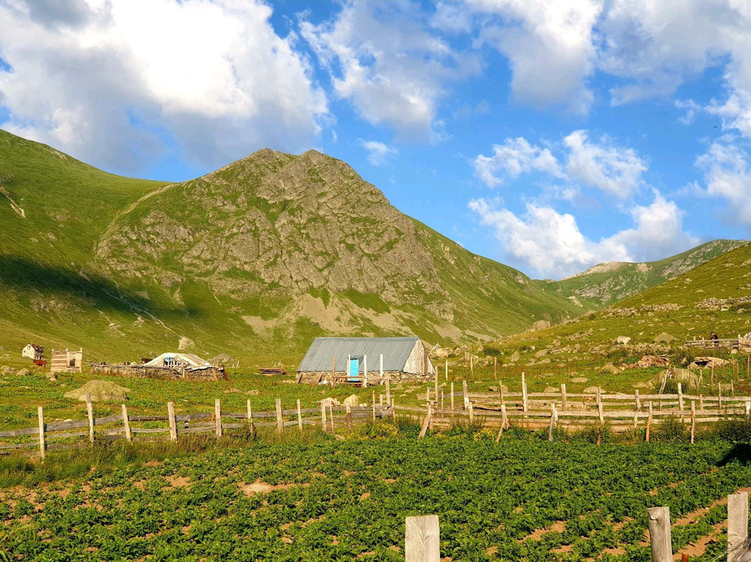 image_c747449c-94a8-475f-83f9-b4688b473f8220200807_113654