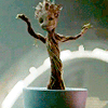 Avatar of KatieNumbers