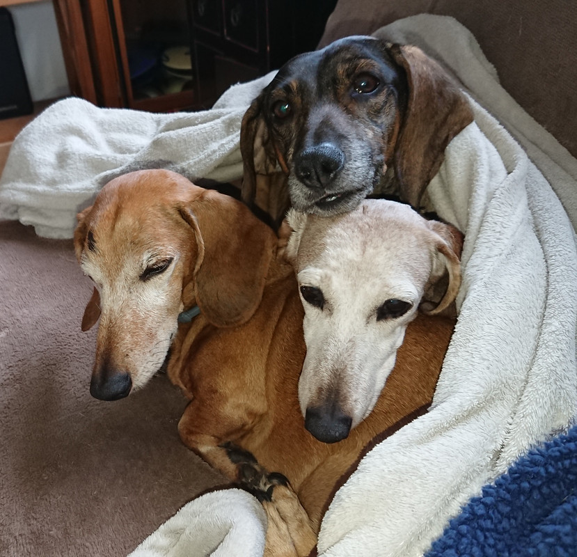 [Image: 20221110-141738.jpg]